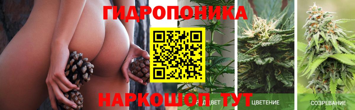 МАРИХУАНА Bruce Banner  Канабис VHQ  МАРИХУАНА конопля  Вход с VPN  Назрань 